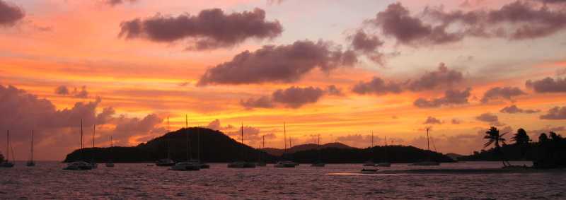 Petit saint vincent